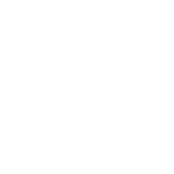 Theo Eyewear